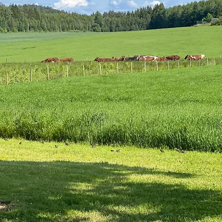 Feriehus Farmhouse Sandefjord